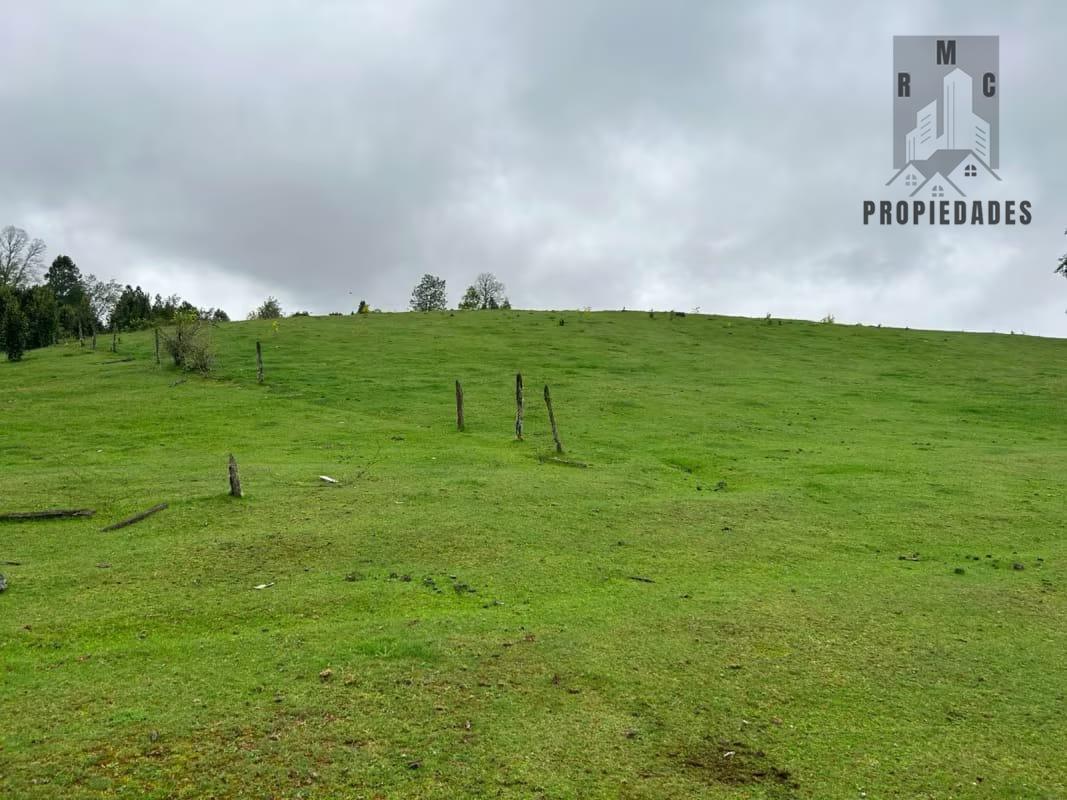 GRAN TERRENO 52 HÁ. SECTOR  LIPINGUE